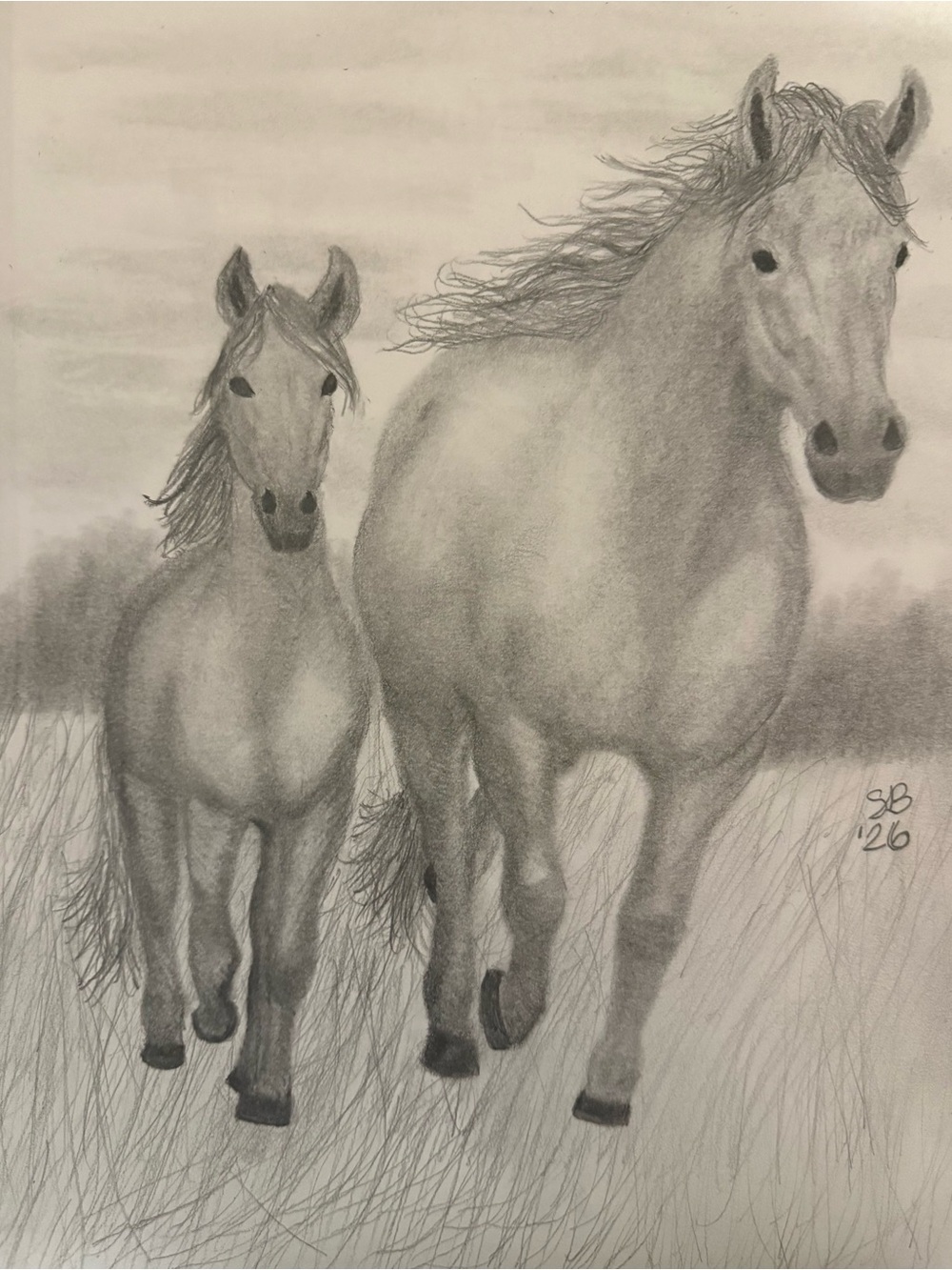 Original Graphite Drawing “Mare and Me” by Sandi Bramman of Dreaming in Graphite